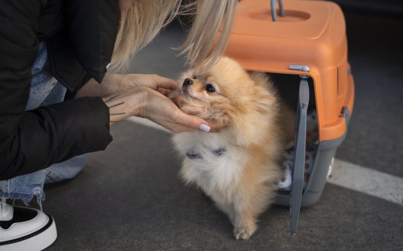 side-view-woman-with-cute-dog